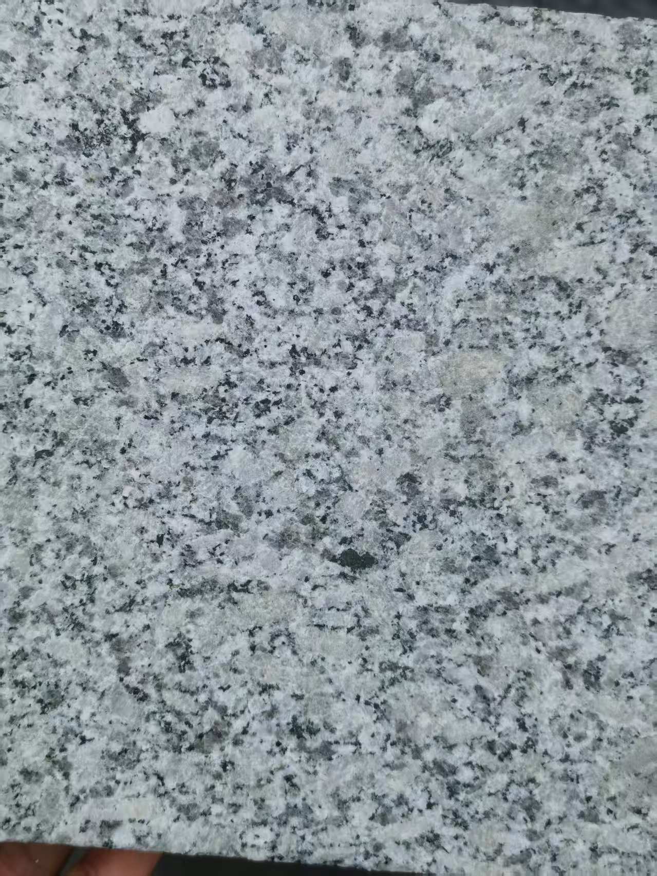 河南 芙蓉白火烧面