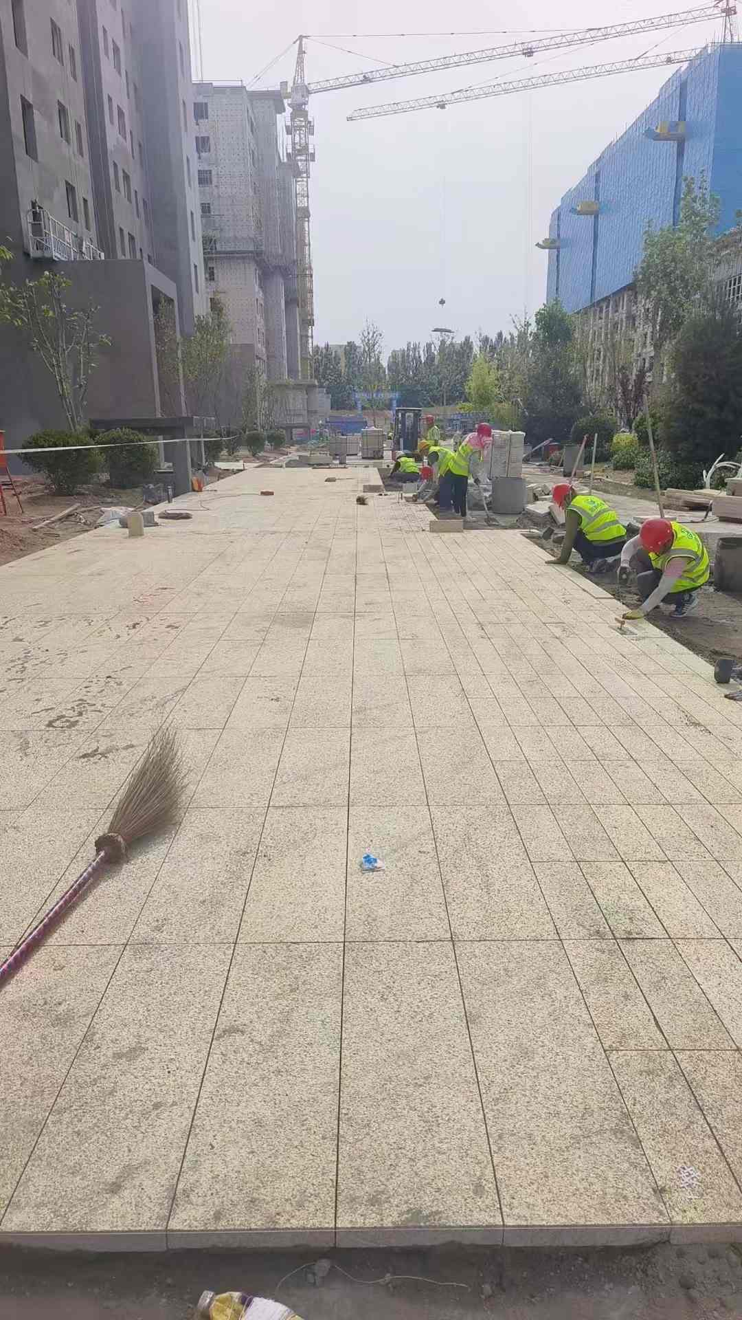河南黄金麻荔枝面地铺案例