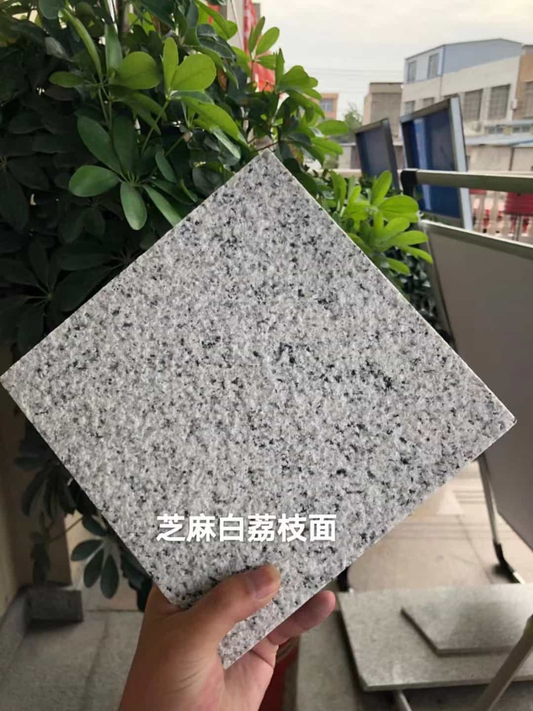 河南 芝麻白荔枝面干挂