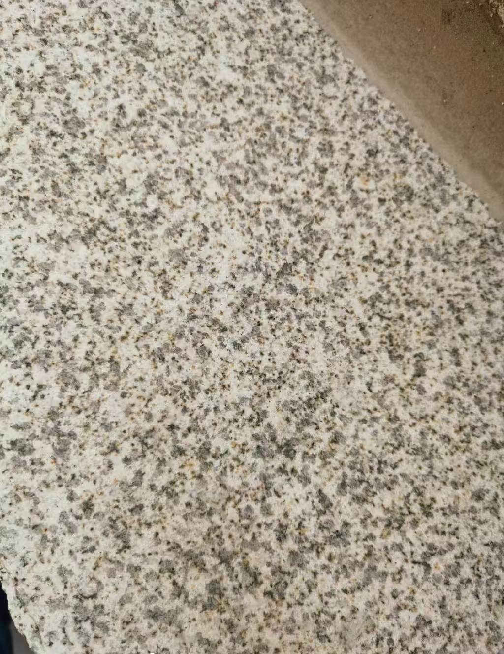 河南 黄金麻中黄光面